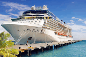 Kaufman to serve as executive VP and CFO for Carnival Corp.