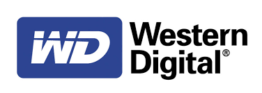 Lori Sundberg will lead important global human resources initiatives for Western Digital. Contributed image